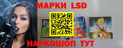 spice Вышний Волочёк