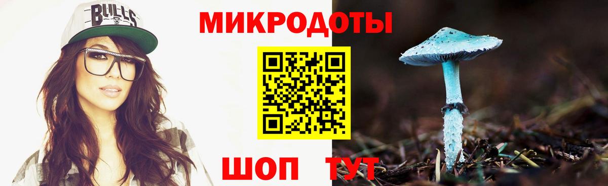 Серов  Галлюциногенные грибы мицелий  Галлюциногенные грибы Psilocybe  Вход с VPN 